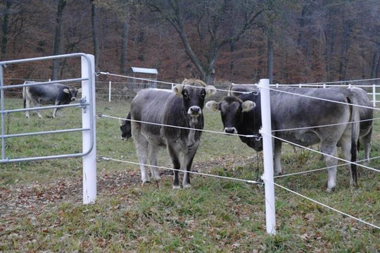 90mm x 2m Fence Post 100 pack