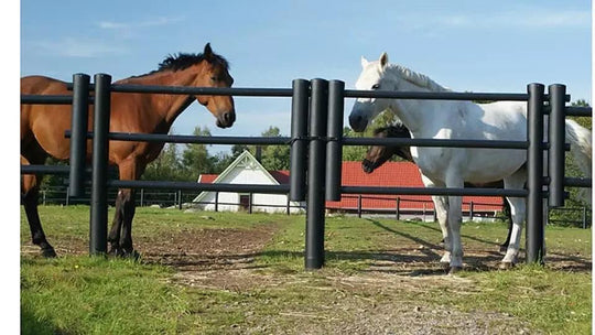 Dubbelgrind DeLuxe 3-6m xtra bred -