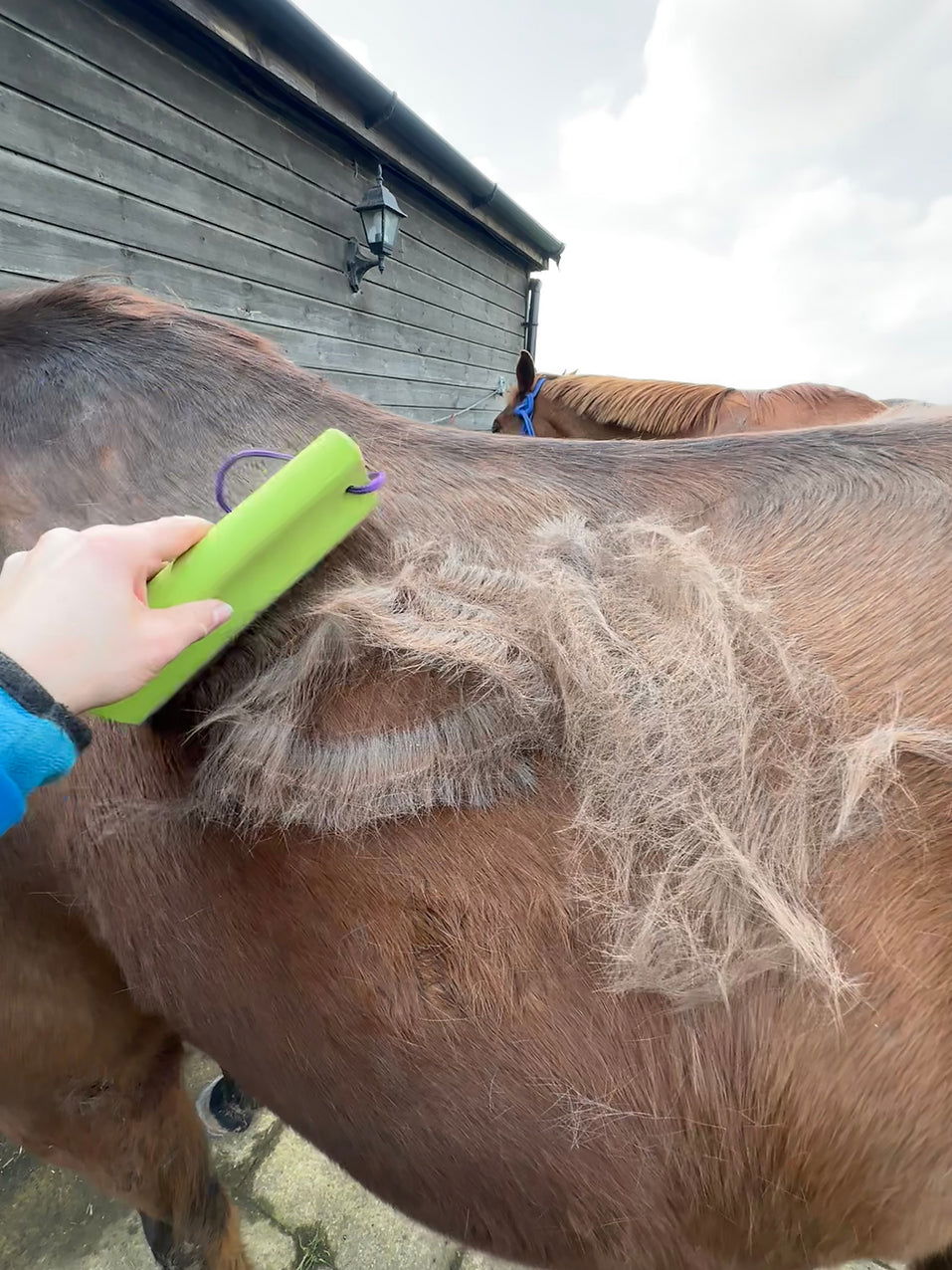 Unicorn Vanquish Groomer borste - 