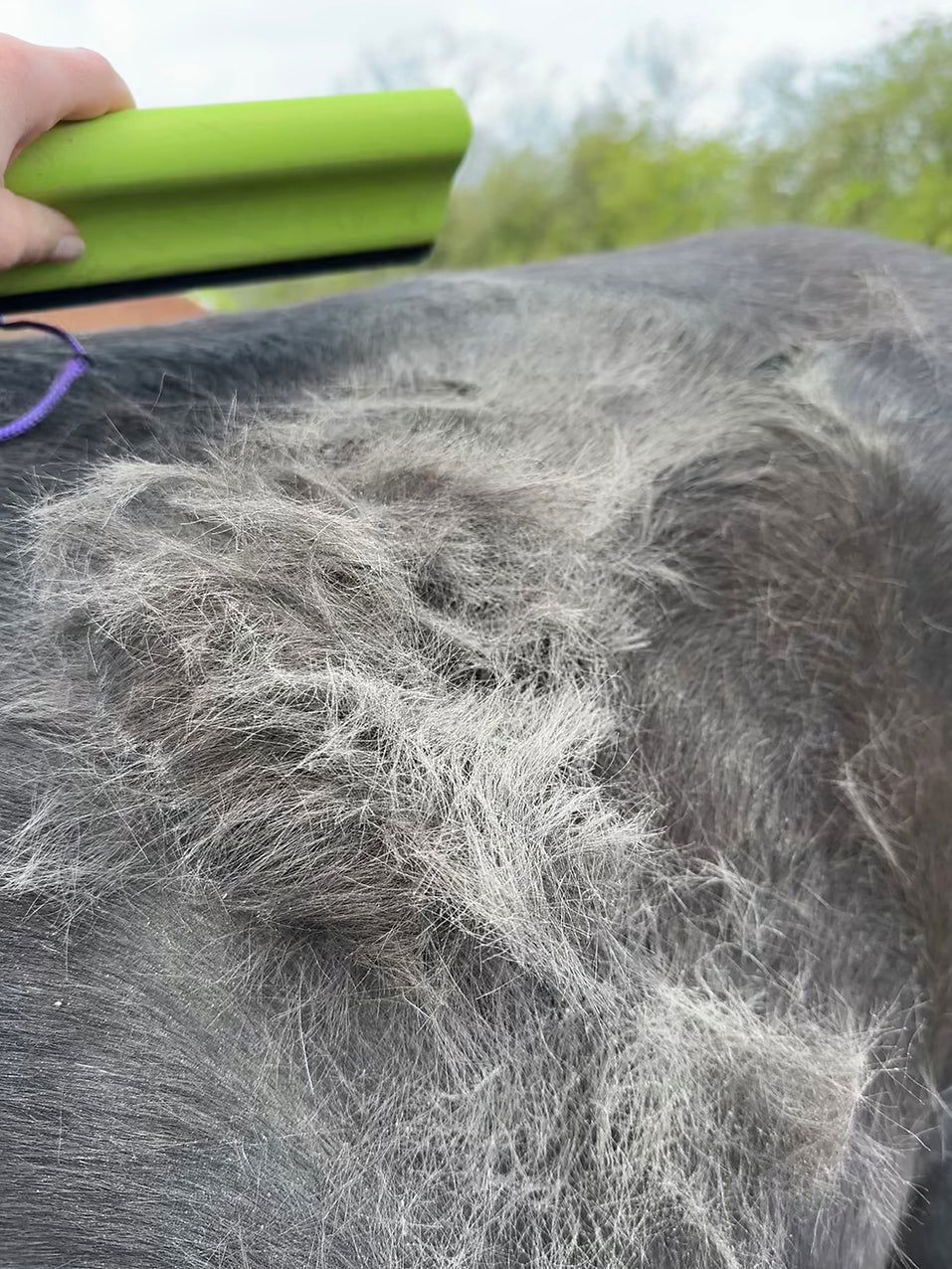 Unicorn Vanquish Groomer borste - 