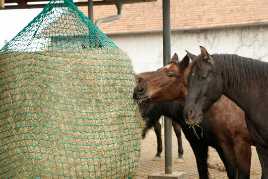 Hay net for round bales, 150x180 cm Mesh width 4.5 cm, for hanging